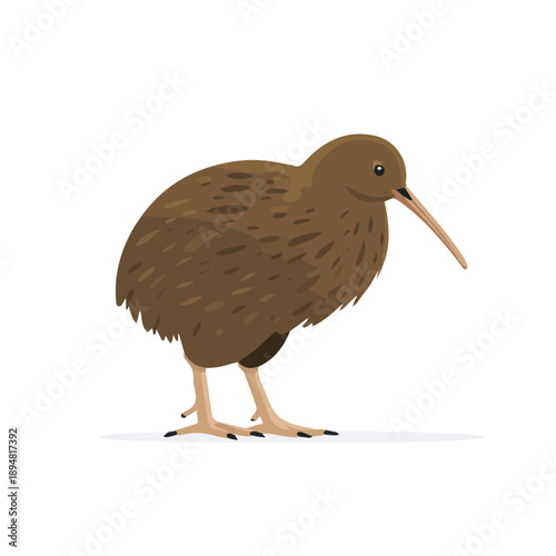 Weka, modern 2D flat vector illustration in icon style, isolated on pure white background.
