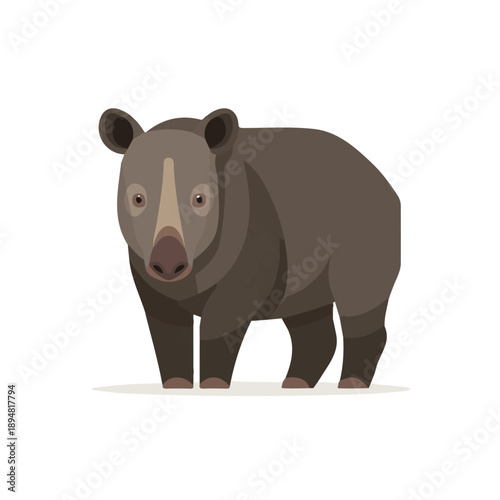 Tapir, 2D flat vector illustration, simple and modern style, isolated on a plain white background.