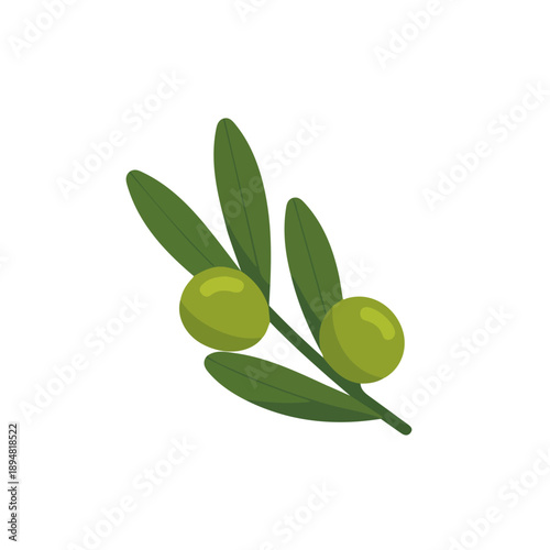 Oleaster, modern 2D flat vector illustration in icon style, isolated on pure white background.