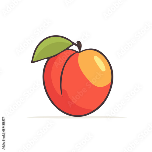 2D flat vector illustration of Nectarine, clean and minimal icon style, isolated on white background.