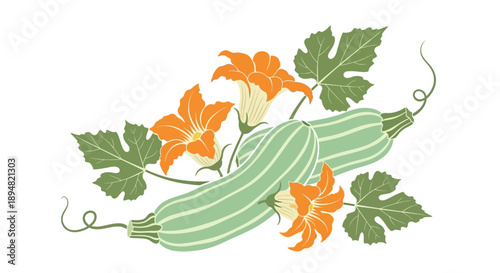 Illustration of green striped zucchinis with leaves and flowers.
