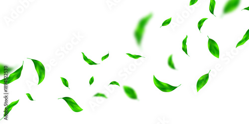 Fluttering leaves background, vector illustration