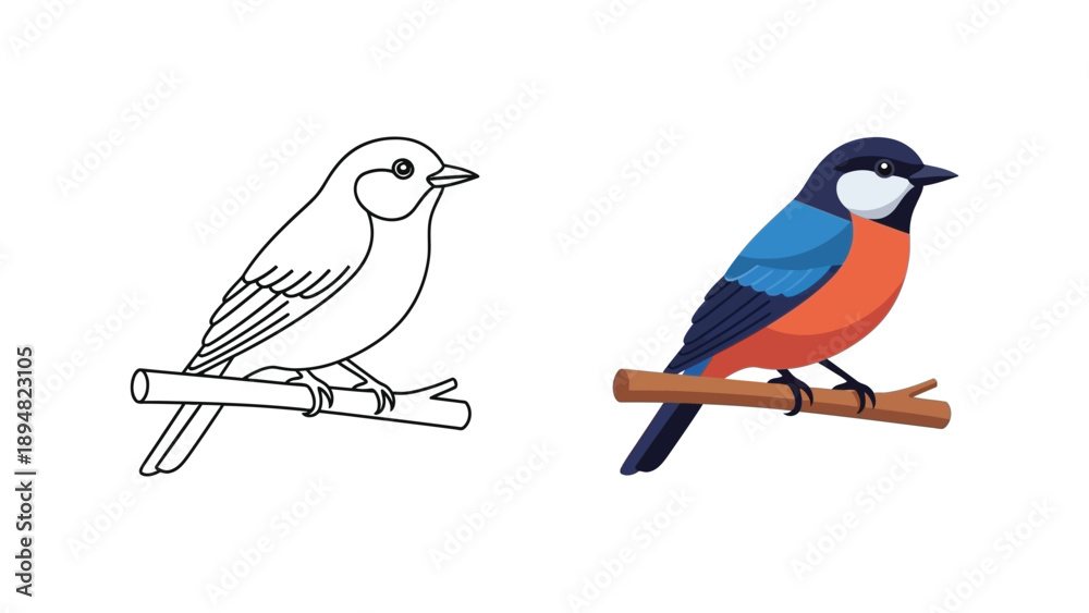 Obraz premium Illustration set showing a colorful songbird perched on a branch alongside its simple black and white outline version for coloring activities or design projects
