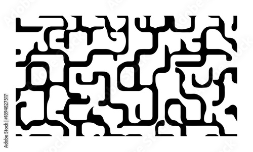 Intricate black and white maze