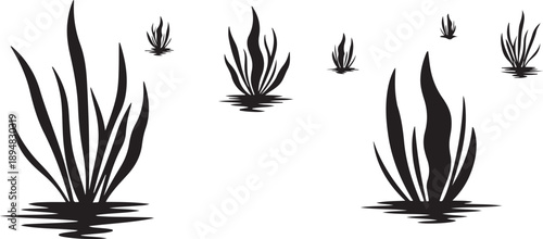 Black silhouettes of various aquatic plants on white background