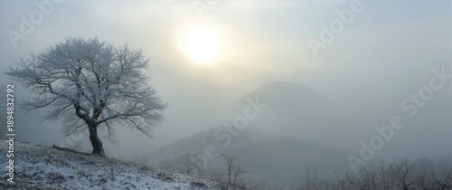 Panel kuchenny z motywem South Korea's Deogyusan mountains shrouded in winter fog