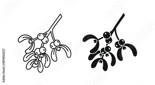 Two depictions of mistletoe one detailed and one a dark silhouette
