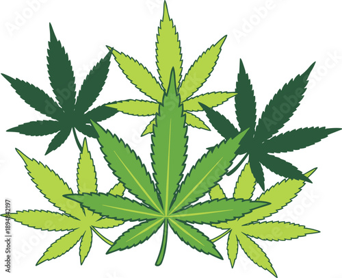 Cannabis Leaves Collection with Green Marijuana Plant Foliage Vector Illustration
