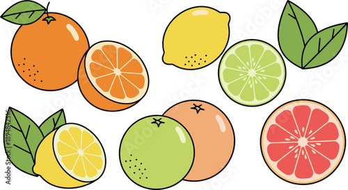 Citrus Fruits Collection with Orange Lemon Lime and Grapefruit Slices Vector Illustration Set