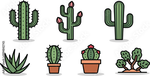 Cute Cactus and Succulent Plants Collection in Pots Desert Botanical Vector Illustration Set