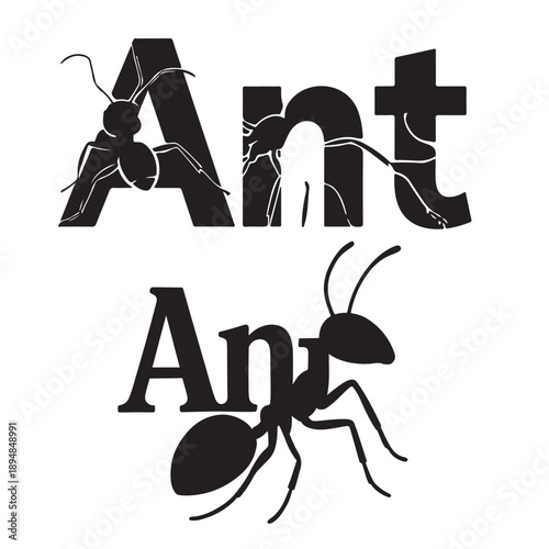 Ant Insect Typography and Silhouette Logo Vector