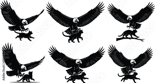 Bald Eagle Silhouettes Hunting and Attacking Domestic Cat Collection for Nature Conflict Concepts Wildlife Predation Illustration and Aggressive Animal Graphic Design Isolated Vector Set