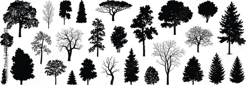 Collection of diverse tree silhouettes in various shapes and seasonal forms, ideal for botanical references, landscape design, and artistic illustration purposes.