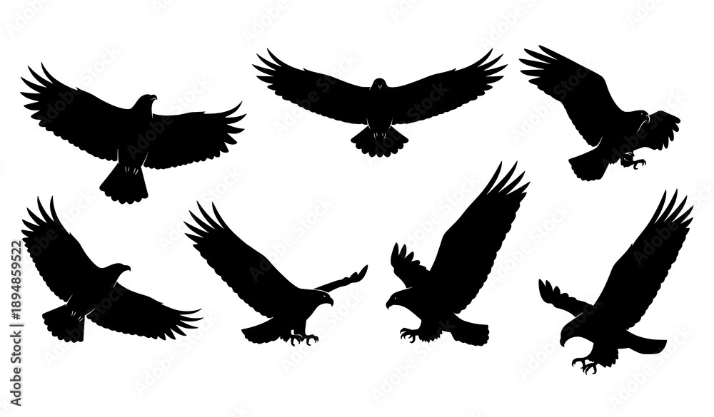Obraz premium Minimal flying eagle silhouette vector icons collection