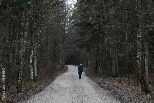 Fotografija A person walking alone through an autumn forest