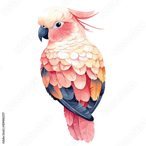 watercolor of Cockatoo illustration, isolated on a white background.