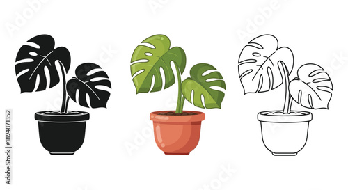 Set of three monstera deliciosa houseplant icons in pots shown in silhouette, color, and outline styles