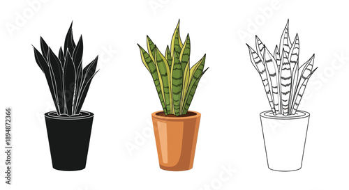 Set of three snake plant illustrations in pots shown in black silhouette, full color, and outline styles