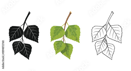Set of three birch tree branch icons with leaves shown in black silhouette, color, and outline styles