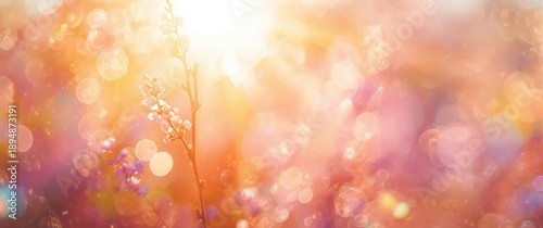 Sun rays and vibrant bokeh abstract background, perfect for spring and summer design projects