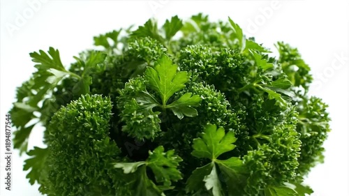 Fresh green parsley close up view of a bunch against white background