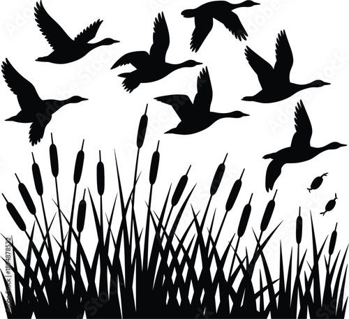 Flying ducks silhouette over wetland reeds marsh wildlife nature scene black flat vector illustration isolated background design