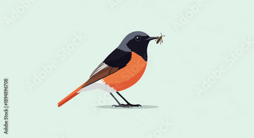 Bird with insect in beak on plain background