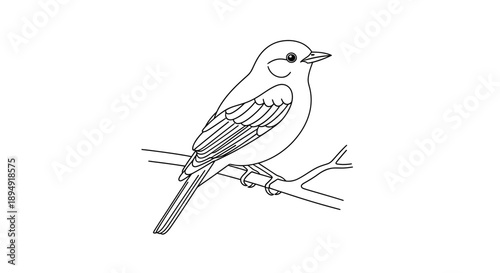 Simple Line Drawing of a Bird Perched.