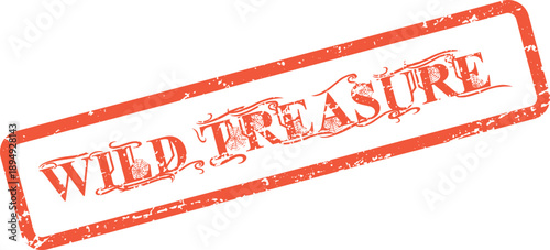 Wild Treasure grunge text on a vintage style red rectangular rubber stamp impression