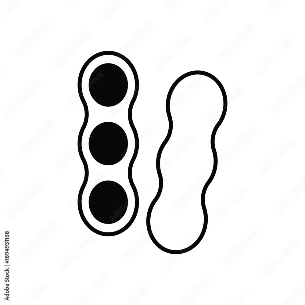 Fototapeta premium Peanut vector icon