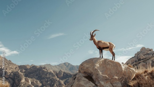 Iberian ibex climbing rugged rocks within El Torcal de Antequera, showcasing wildlife resilience in mountainous landscapes