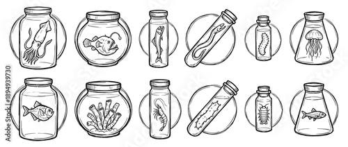 Hand-drawn scientific specimens of sea creatures and insects preserved in glass jars and vials, a black and white line art collection showing a variety of marine and entomology samples