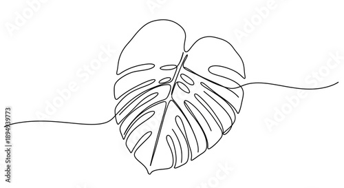 Simple Line Drawing of Monstera Leaf.