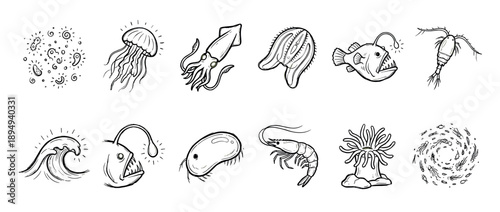 Set of hand-drawn marine life illustrations featuring deep sea creatures like anglerfish, squid, jellyfish, plankton, and shrimp in a simple black and white sketch style