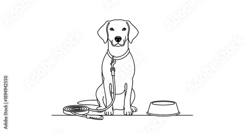 Dog Sitting with Collar and Leash.