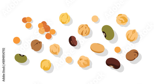 Illustration of various nuts and beans, including peanuts, almonds, cashews, and lentils, scattered against a clean white background.