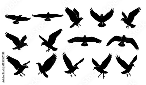 Black flying bird silhouette icon set wildlife vector isolated on transparent background
