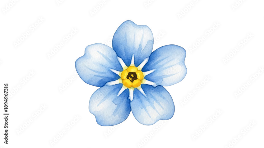 Obraz premium Blue flower with yellow center on it center is the center of.