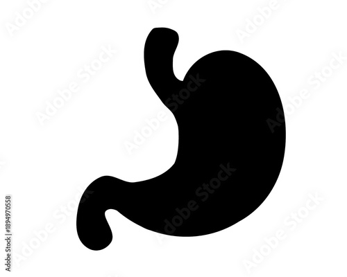 silhouette of human stomach, black and white image

