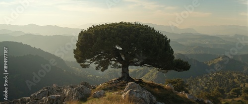 Mountainous scene featuring...