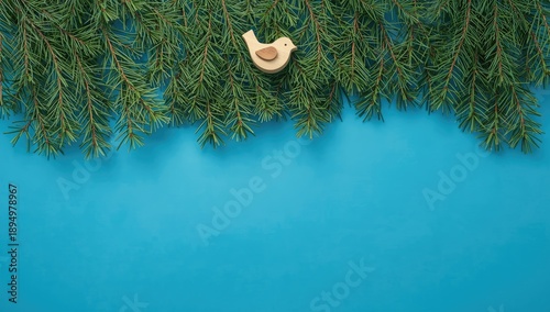 Top view of spruce branches...