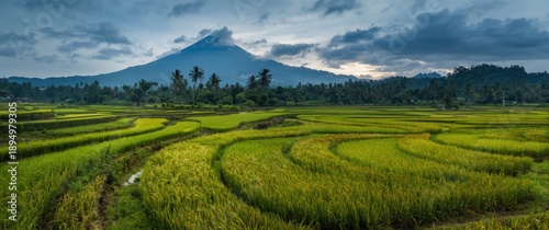 Sidemen Village in Bali, In...