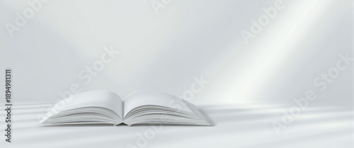 Detailed view of a white bo...