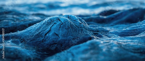 Richly detailed blue-varian...