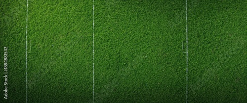 Soccer field with lush gree...