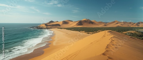Dune terrain showcasing a b...