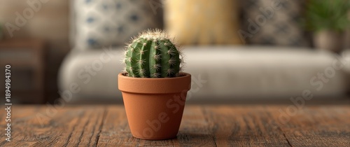 Potted cactus on a wooden t...