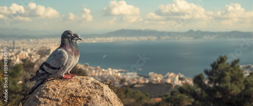 Pigeons resting on a brown ...
