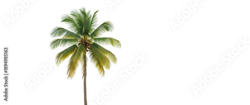 White background with cocon...
