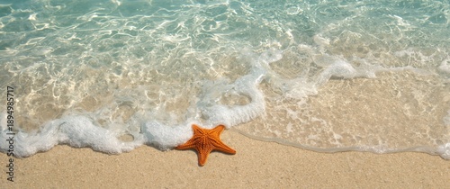 Shallow water beach scene w...